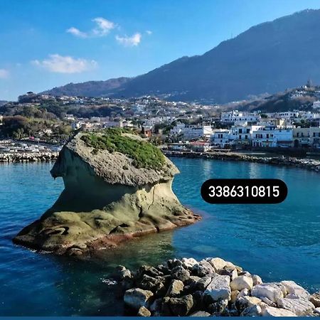 Apartament Zaras 11 Lacco Ameno  Zewnętrze zdjęcie